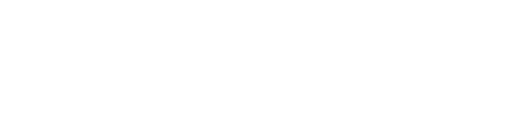 National Leadership Consortium on Developmental Disabilities