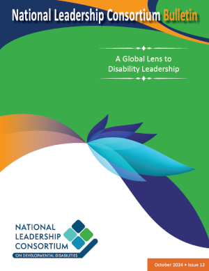 Bulletin 12: A Global Lens to Disability Leadership