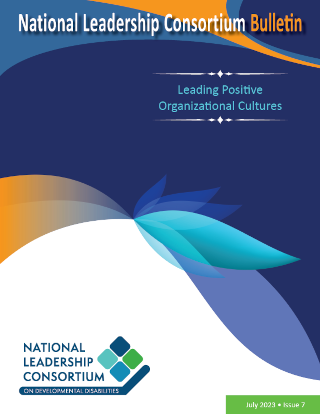 Bulletin 7: Leading Positive Organizational Cultures (July 2023)