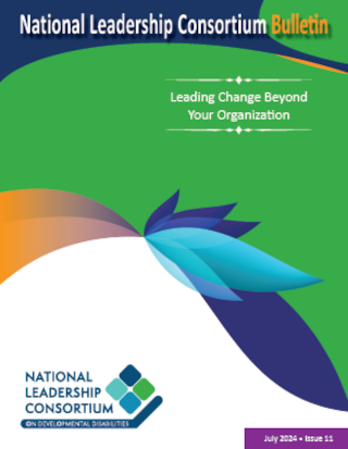 Bulletin 11: Leading Change Beyond Your Organization (July 2024)