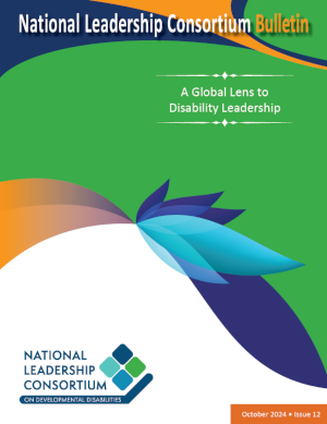 Bulletin 12: A Global Lens to Disability Leadership (October 2024)