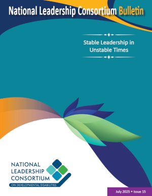 Bulletin 15: Stable Leadership in Unstable Times (July 2025)