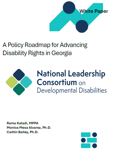 An image of the cover of the White Paper: Policy Roadmap for Advancing Disability Rights in Georgia with the NLCDD logo and blue symbols